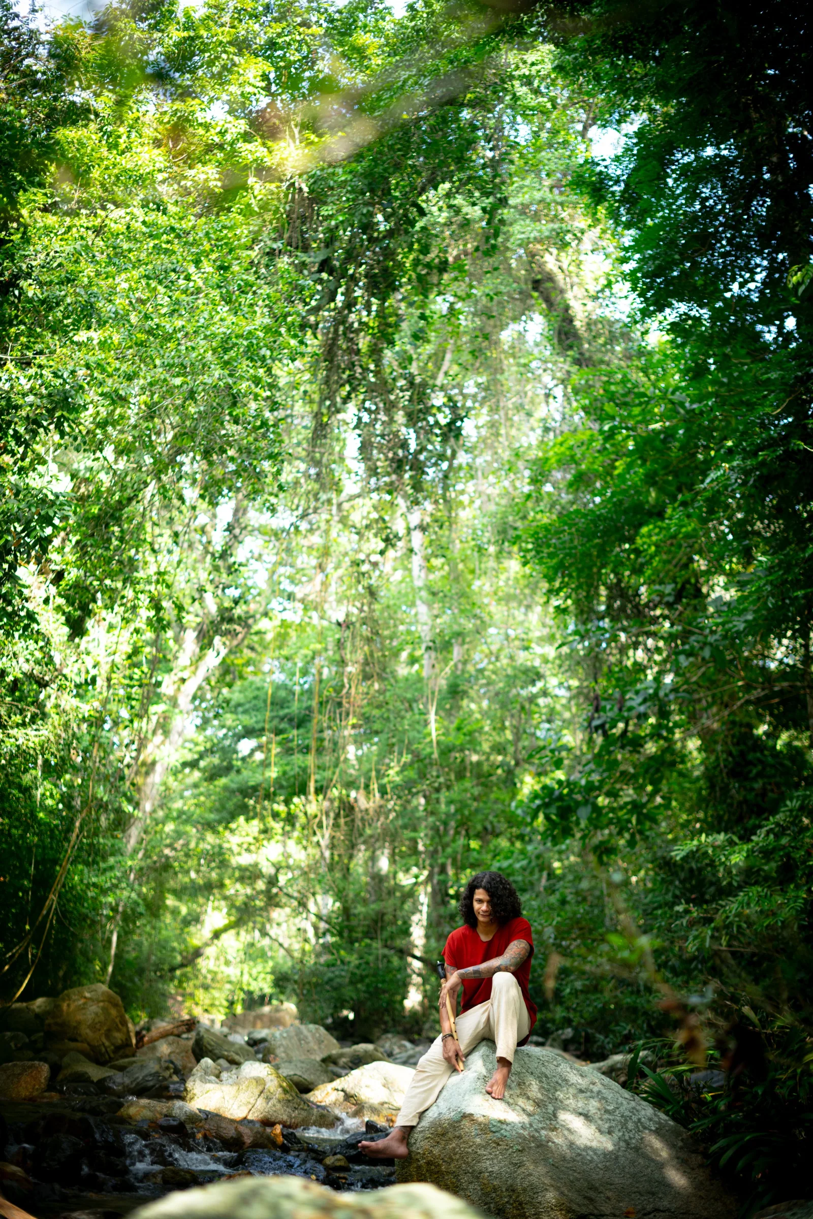 En la Sierra